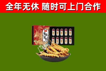 会昌回收冬虫夏草价格