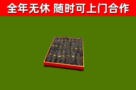 会昌回收海参